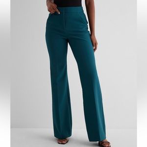 Express flare pant